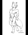 macrofox.gif