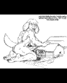 Wari03.GIF